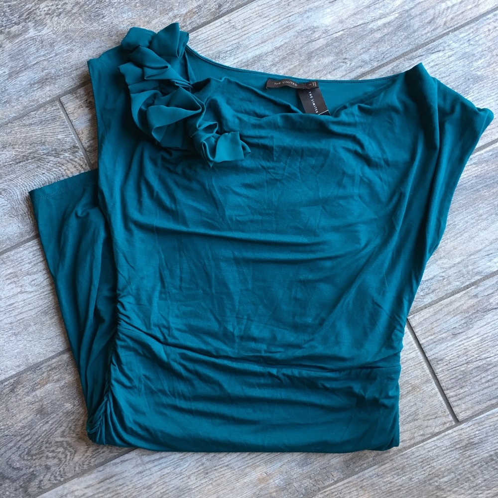 NWT The limited dress